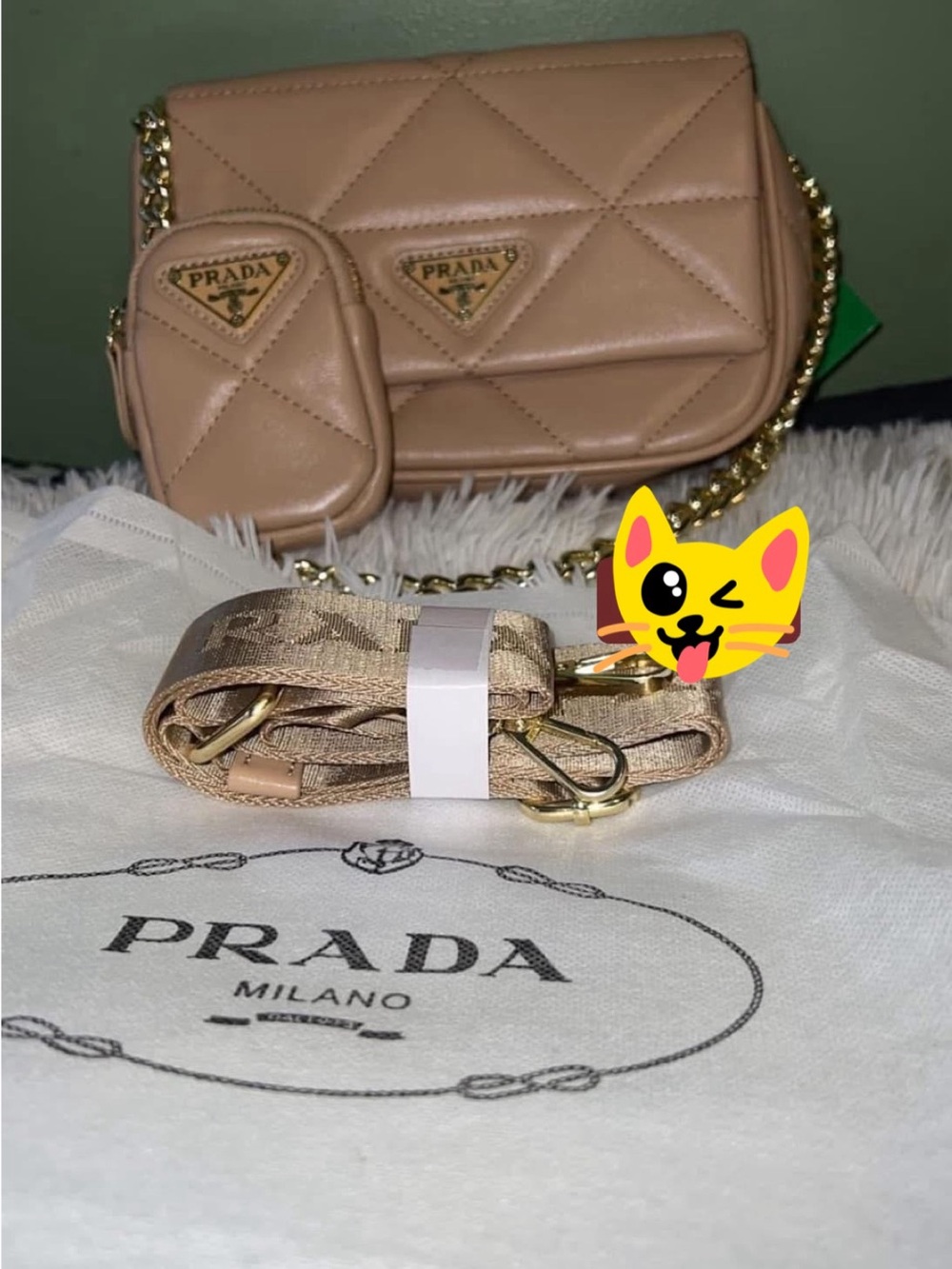 Prada Quilted Leather Crossbody and Pouch in Nude with Gold Hardware